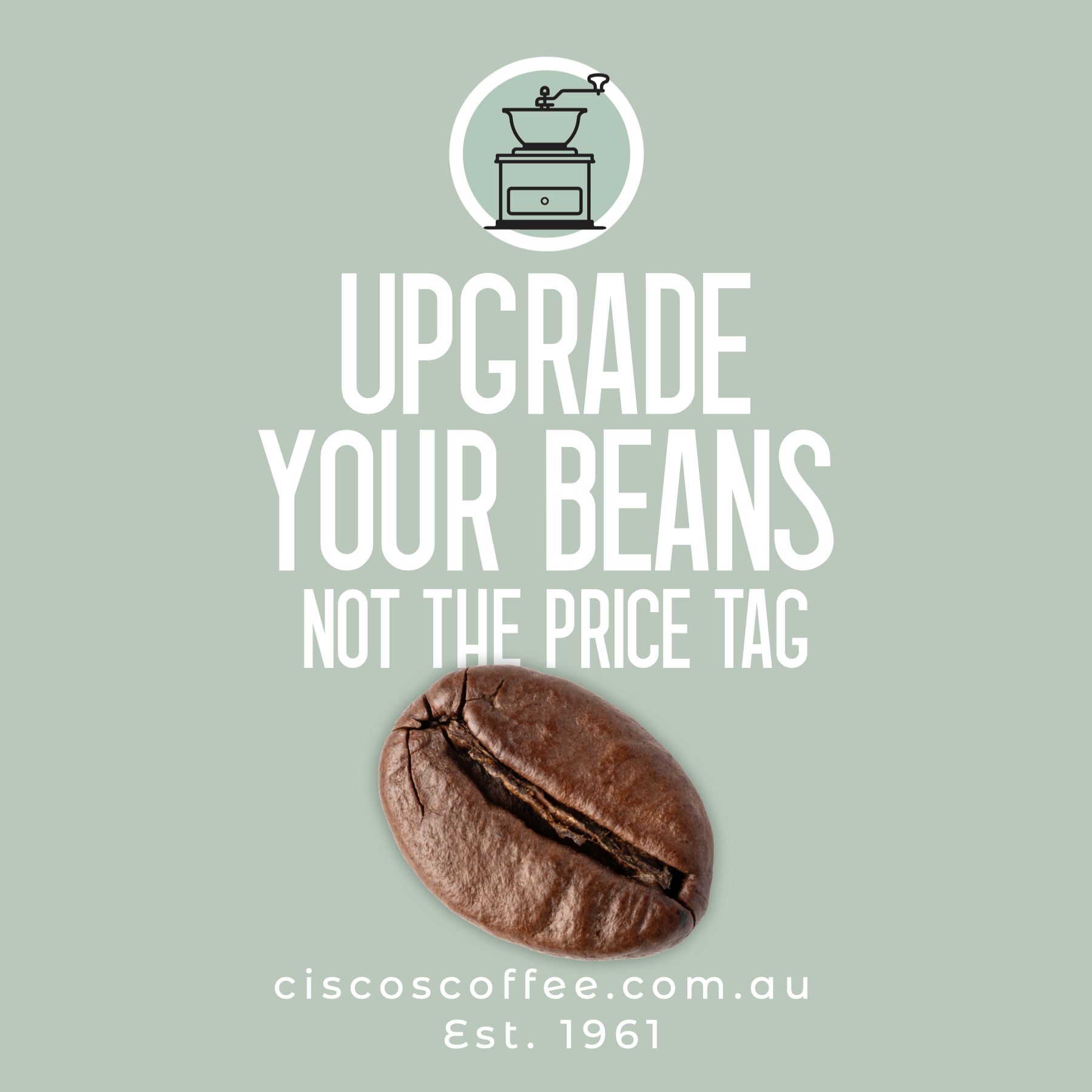 Ciscos Coffee Facebook ad