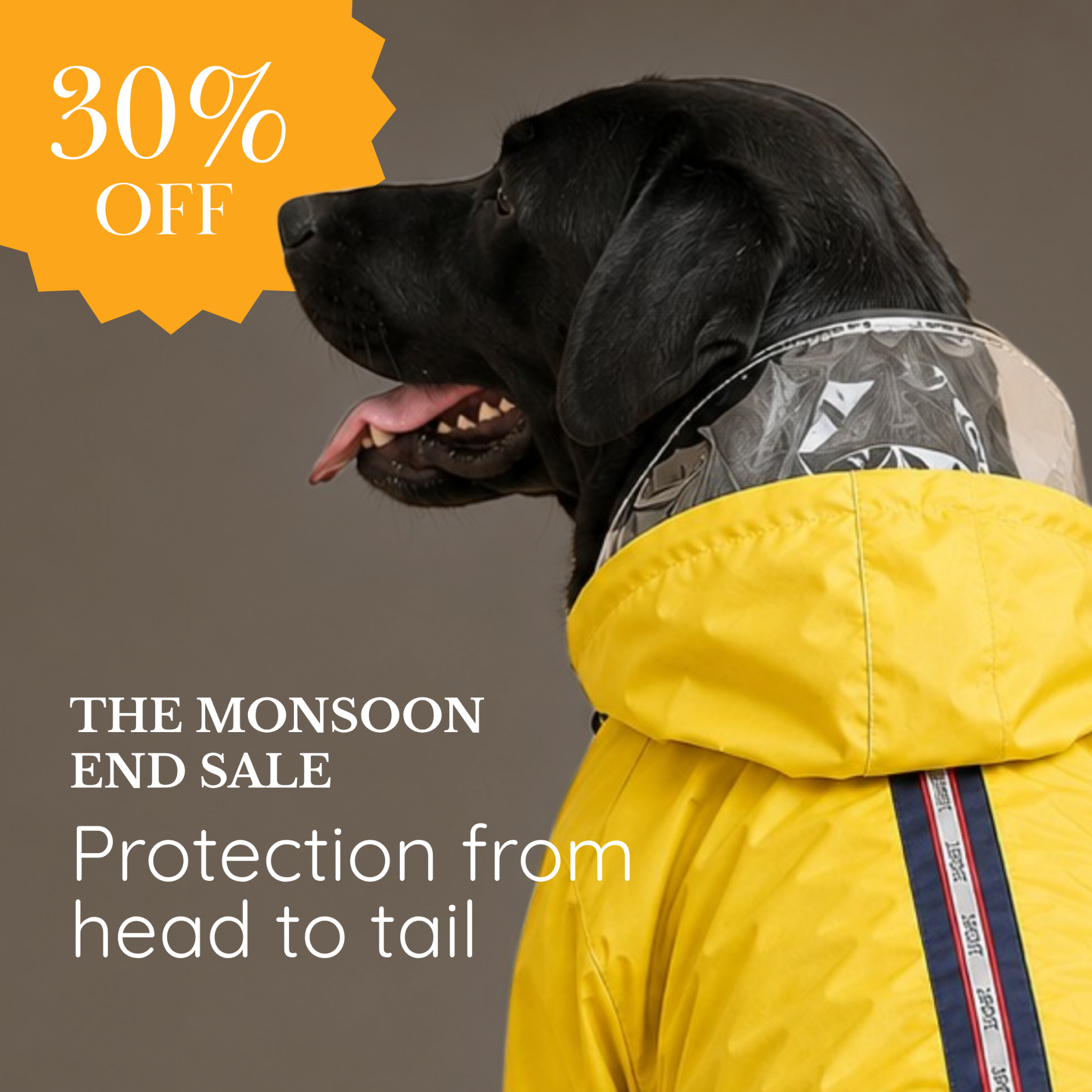 Styles For Tuffy Facebook ad: Rainy walks = wet fur, muddy paws &…