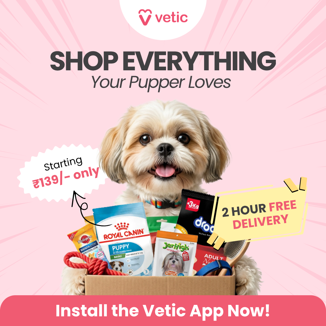 Vetic Facebook ad: Vetic - Pet Clinic & Grooming