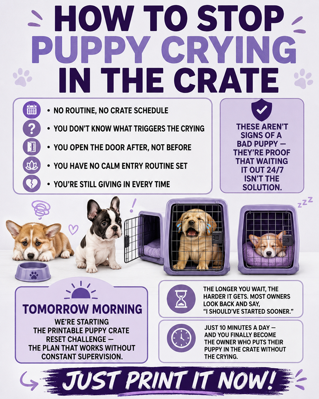 Puppy Tips for Training Facebook ad: #1 app for dog training