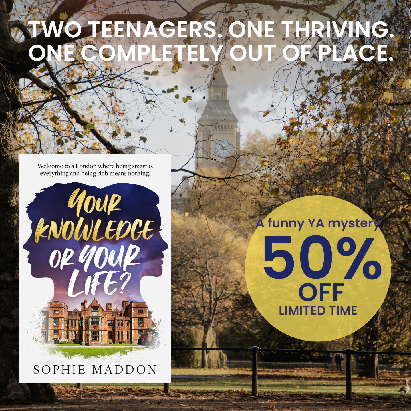 Sophie Maddon Author Facebook ad: What If Knowledge Was More Valuable Than Money?