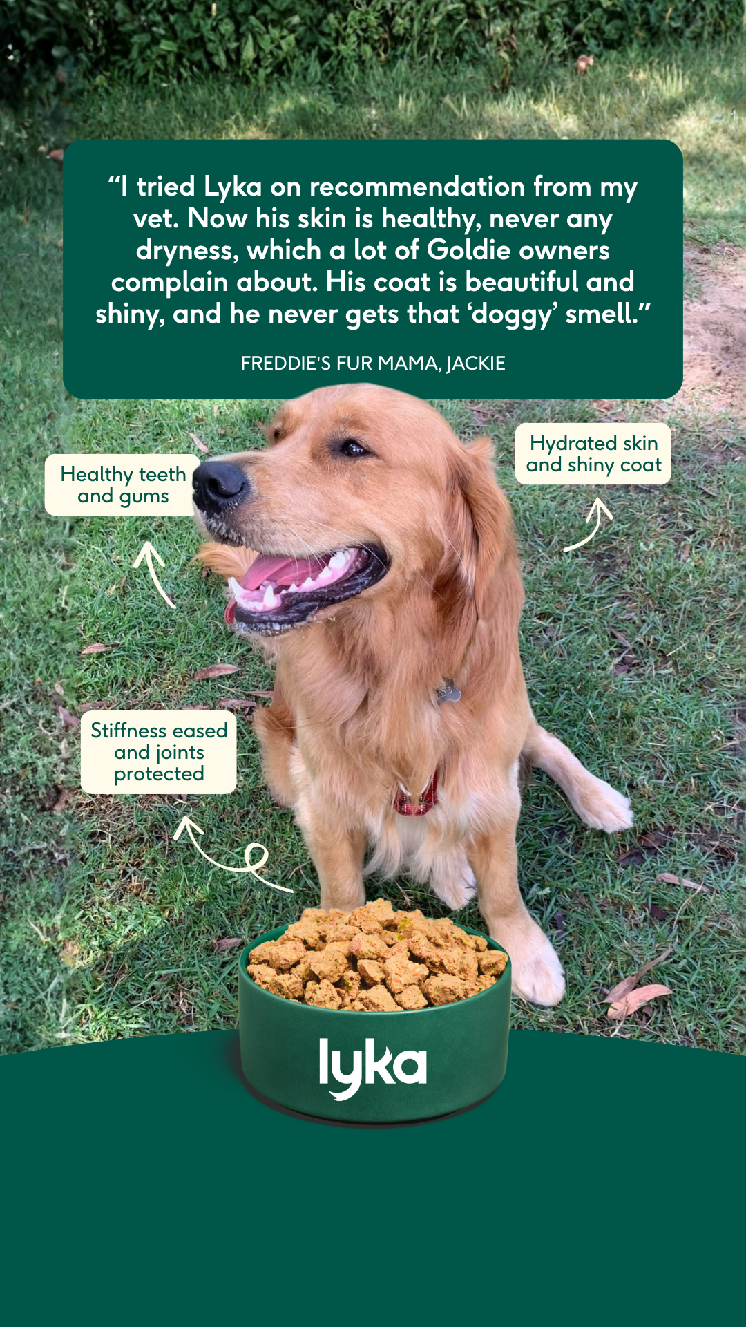 Lyka Pet Food Facebook ad