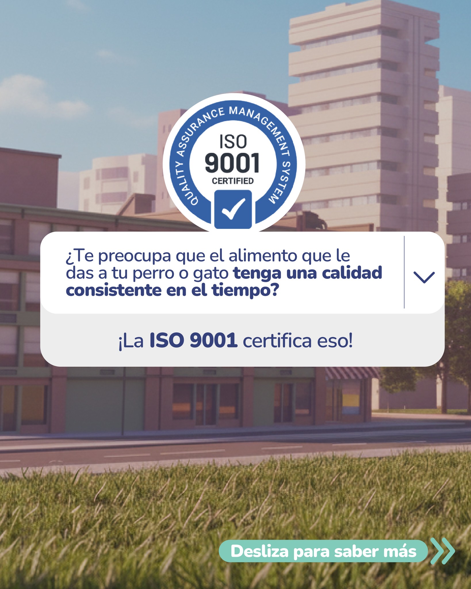 Championdogads Facebook ad: Nuestros alimentos para perros y gatos están certificados…