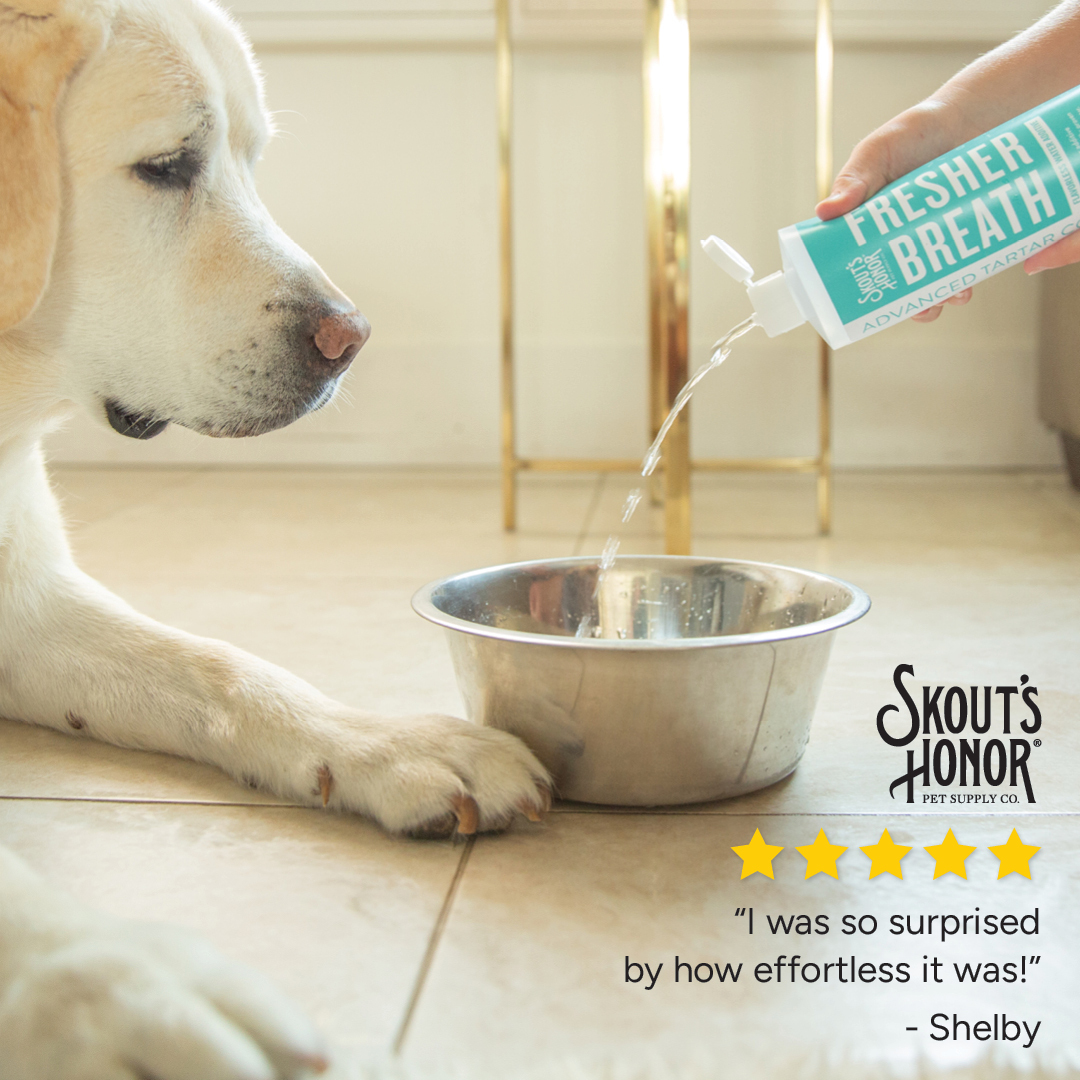 Skout's Honor Facebook ad