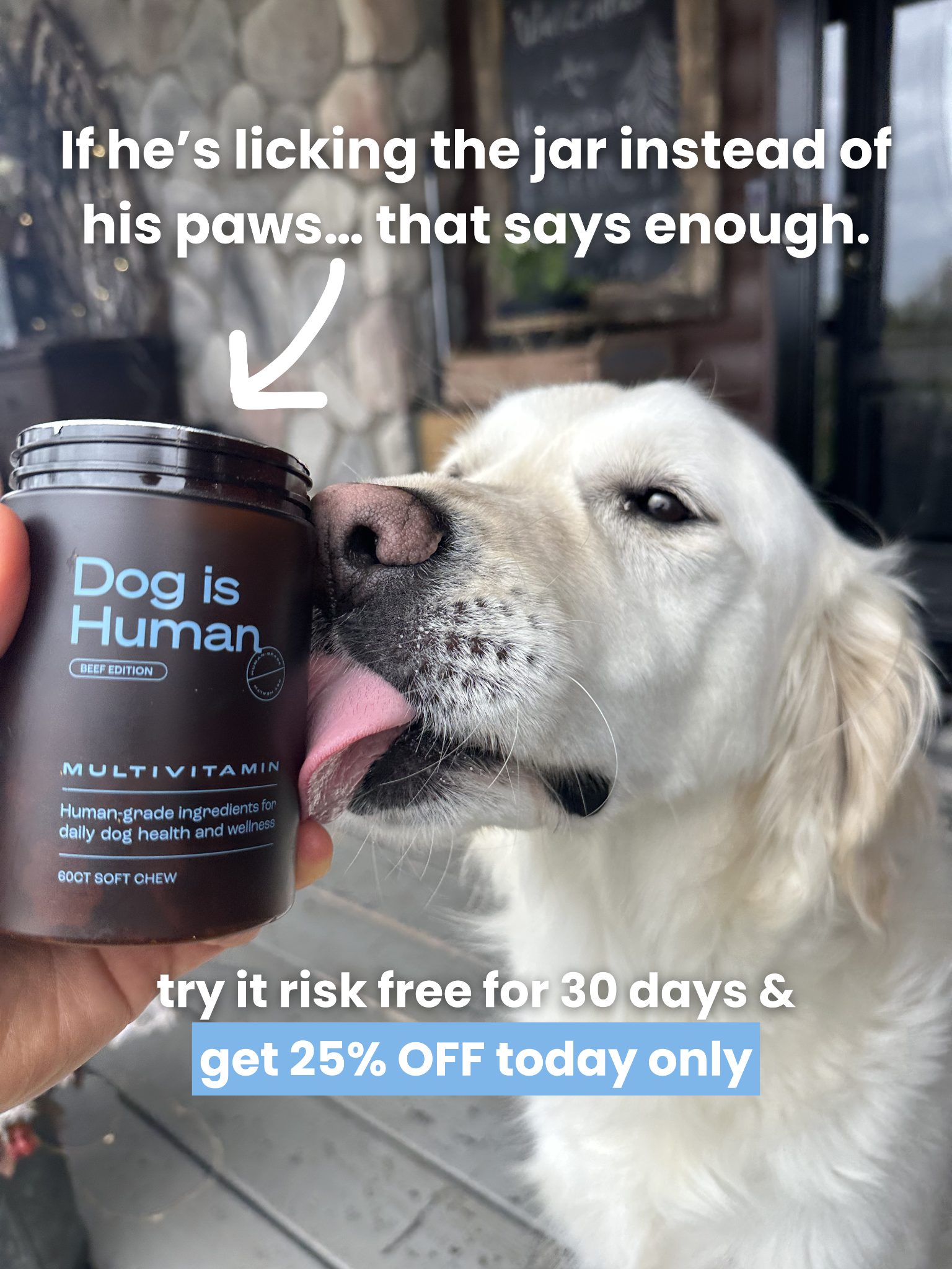 Dog is Human Facebook ad