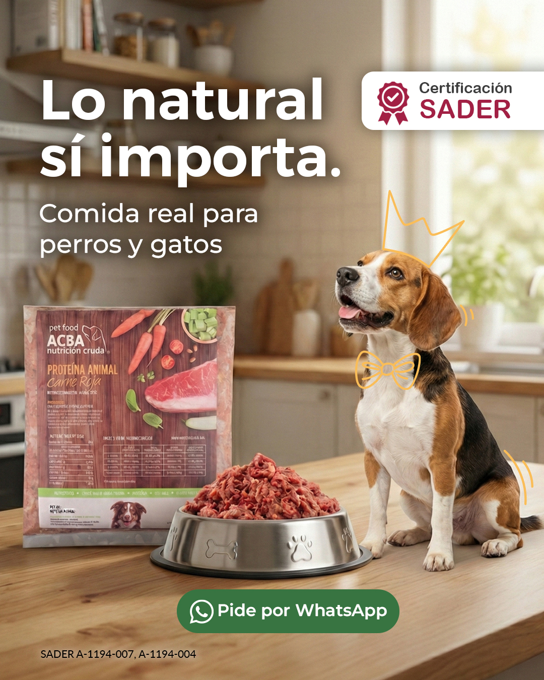 Pet-Food ACBA Nutrición Cruda Facebook ad from Feb 9, 2026