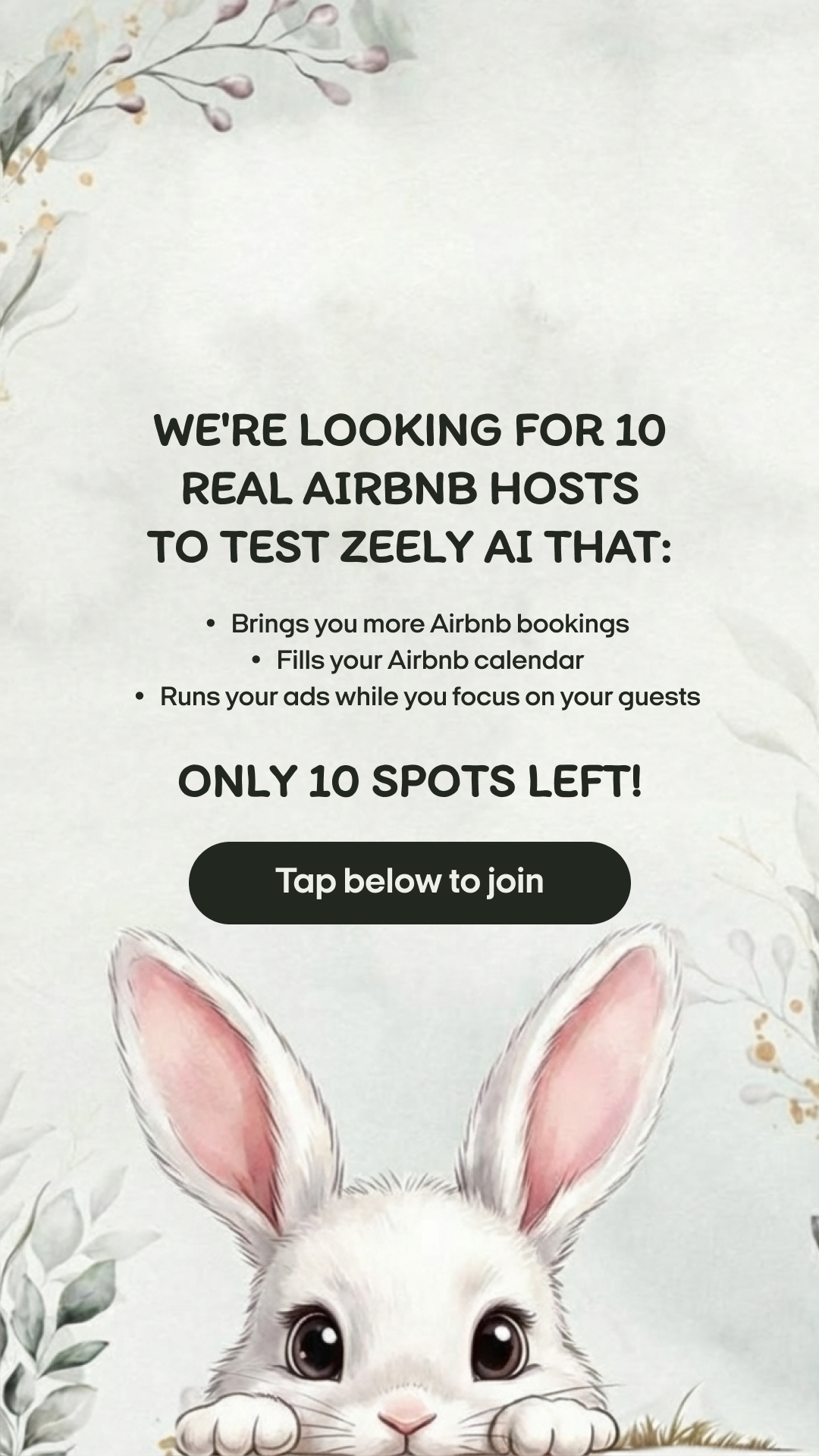 Zeely Facebook ad