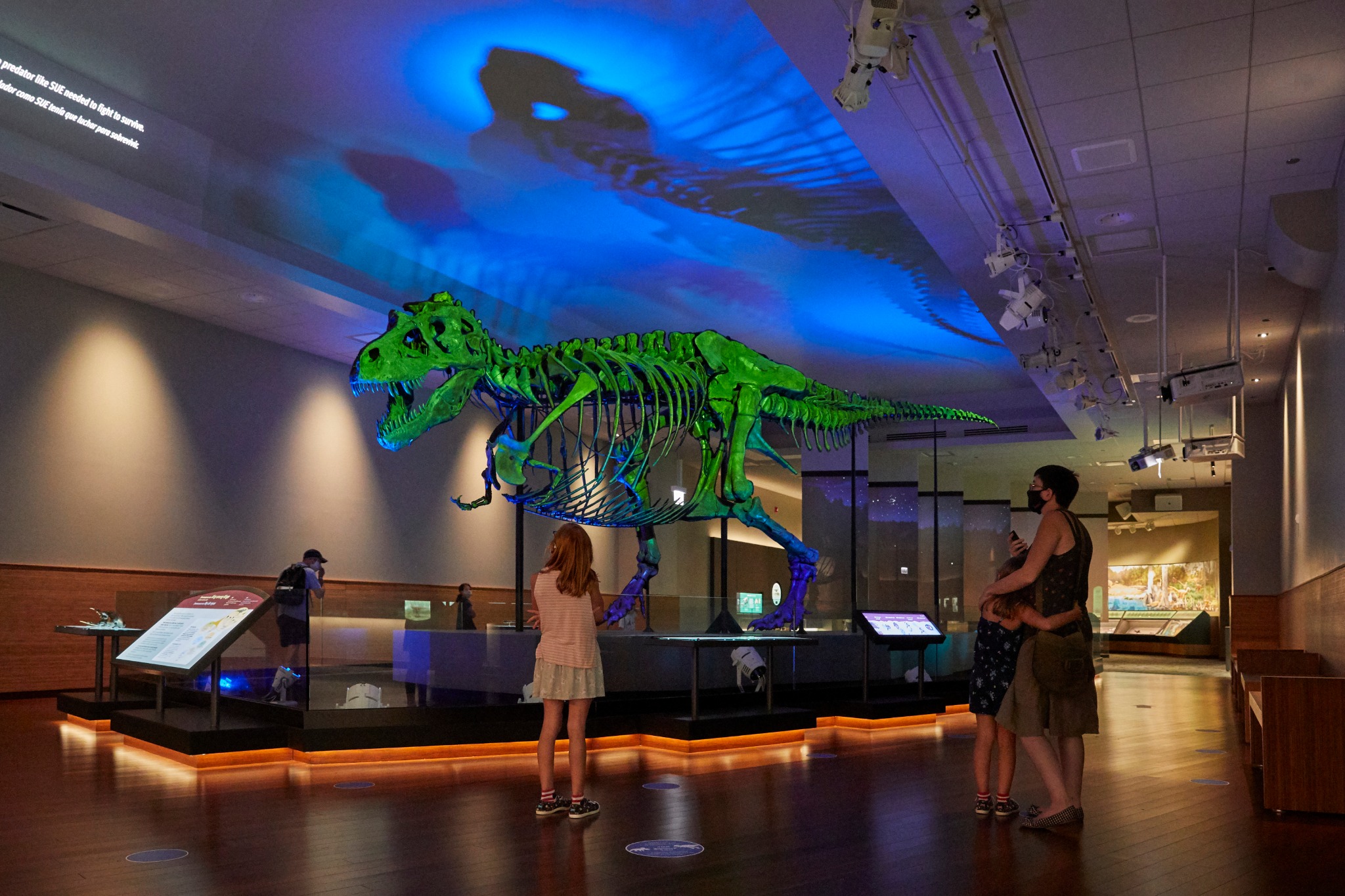 Field Museum Facebook ad