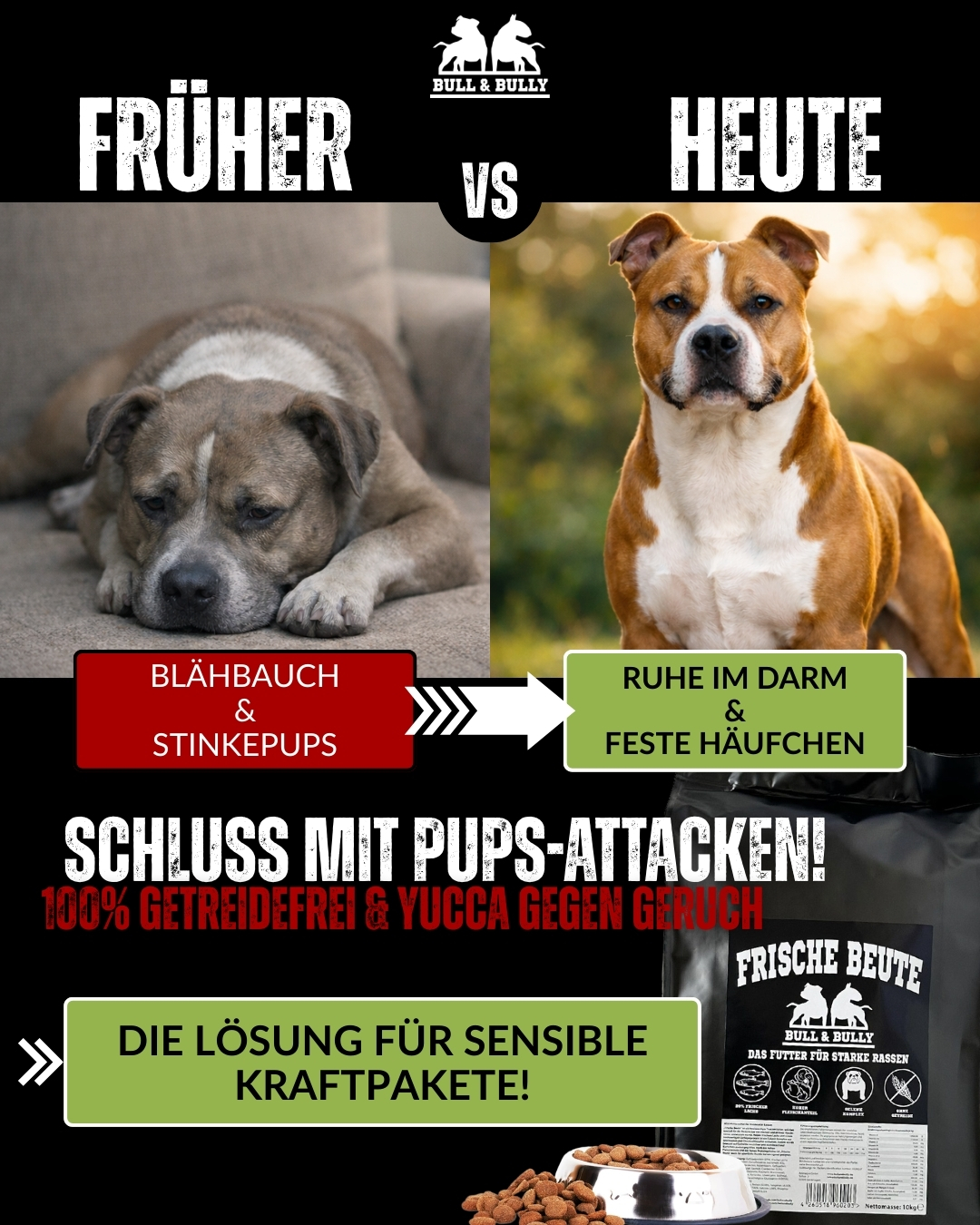 BULL & BULLY Facebook ad: Dein Hund ist nicht faul, er ist falsch betankt!