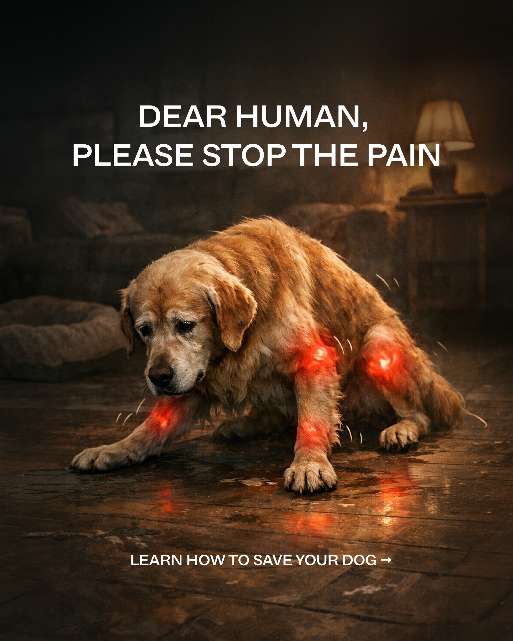 Dog is Human Facebook ad