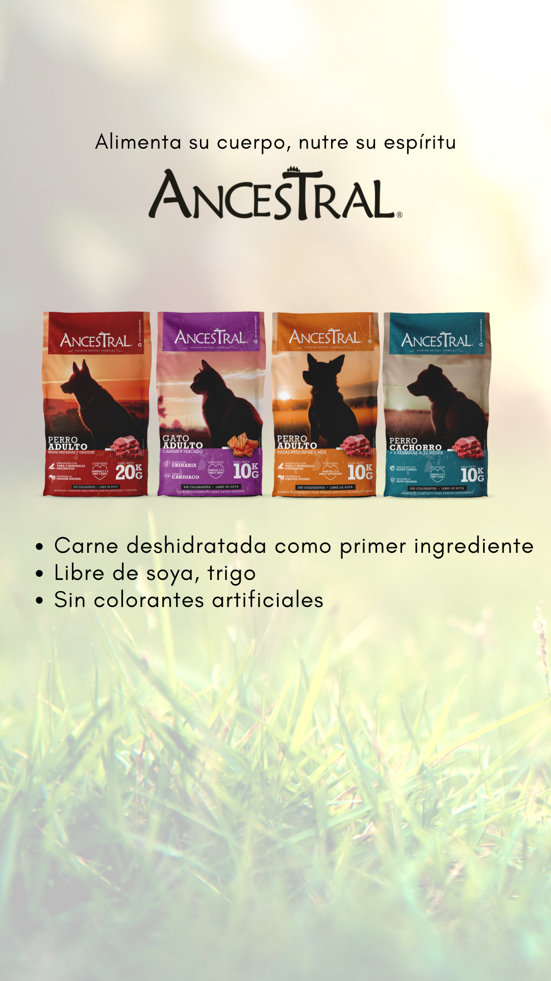 Ancestral Pet Food Facebook ad from Dec 22, 2025