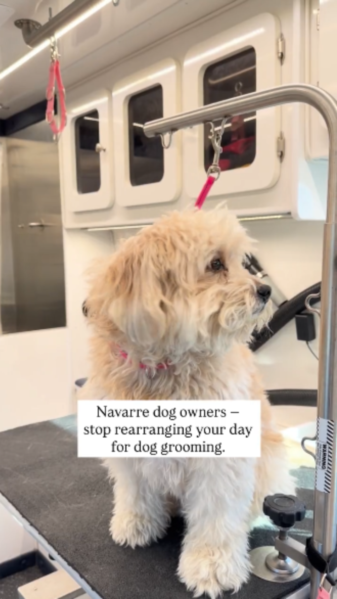 Woody's Wag n Wash Facebook ad from May 28, 2026
