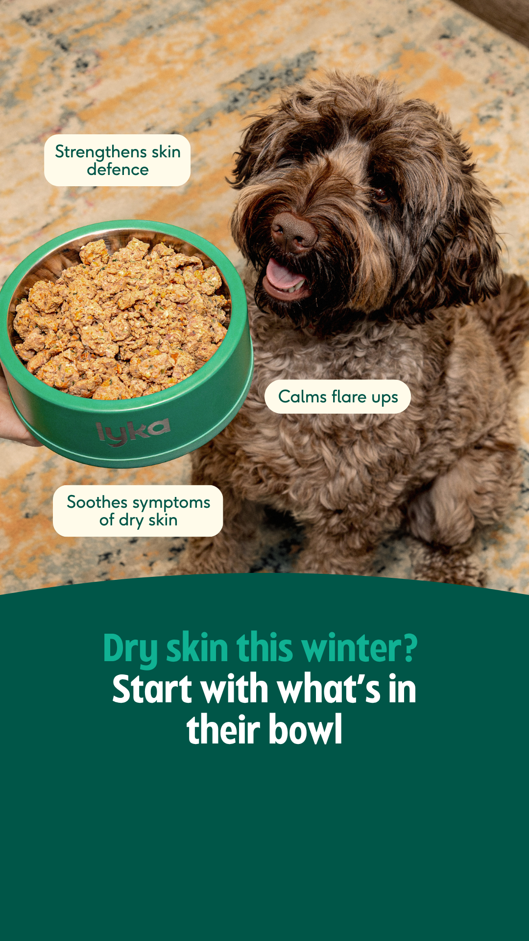 Lyka Pet Food Facebook ad