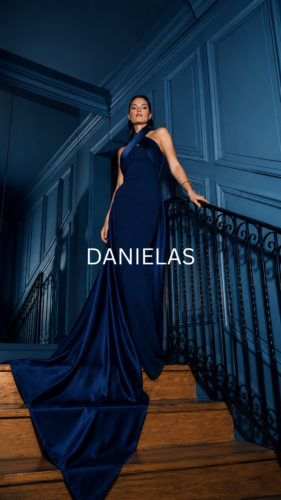 Danielas The Label Facebook ad: Luxury elegant evening dresses.
