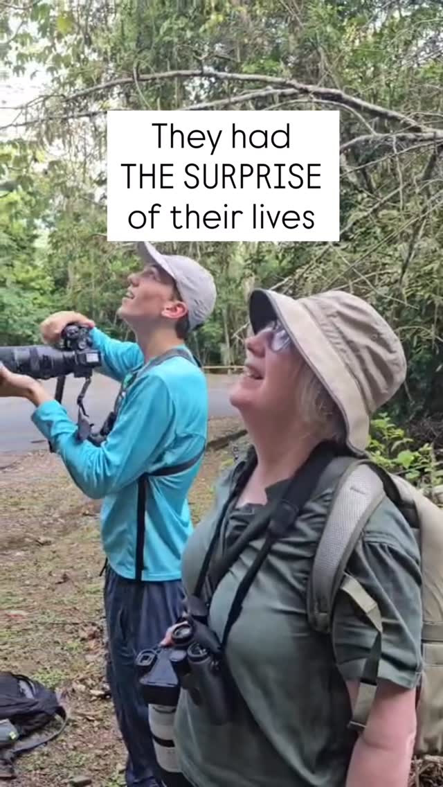 The Canopy Family, Panama Facebook ad: Some encounters are unforgettable, and this was definetly…