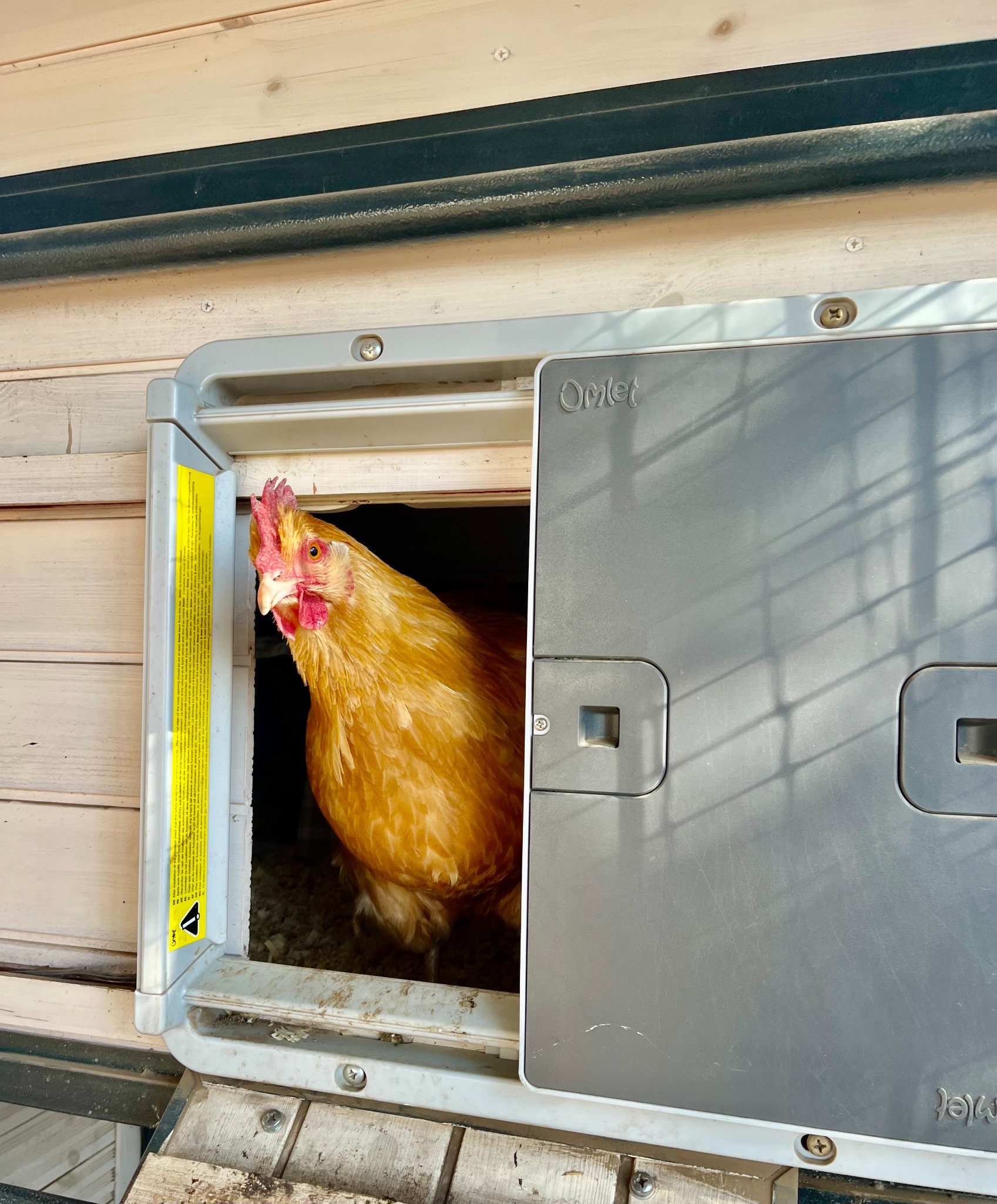 Omlet - Les produits pour vos animaux Facebook ad