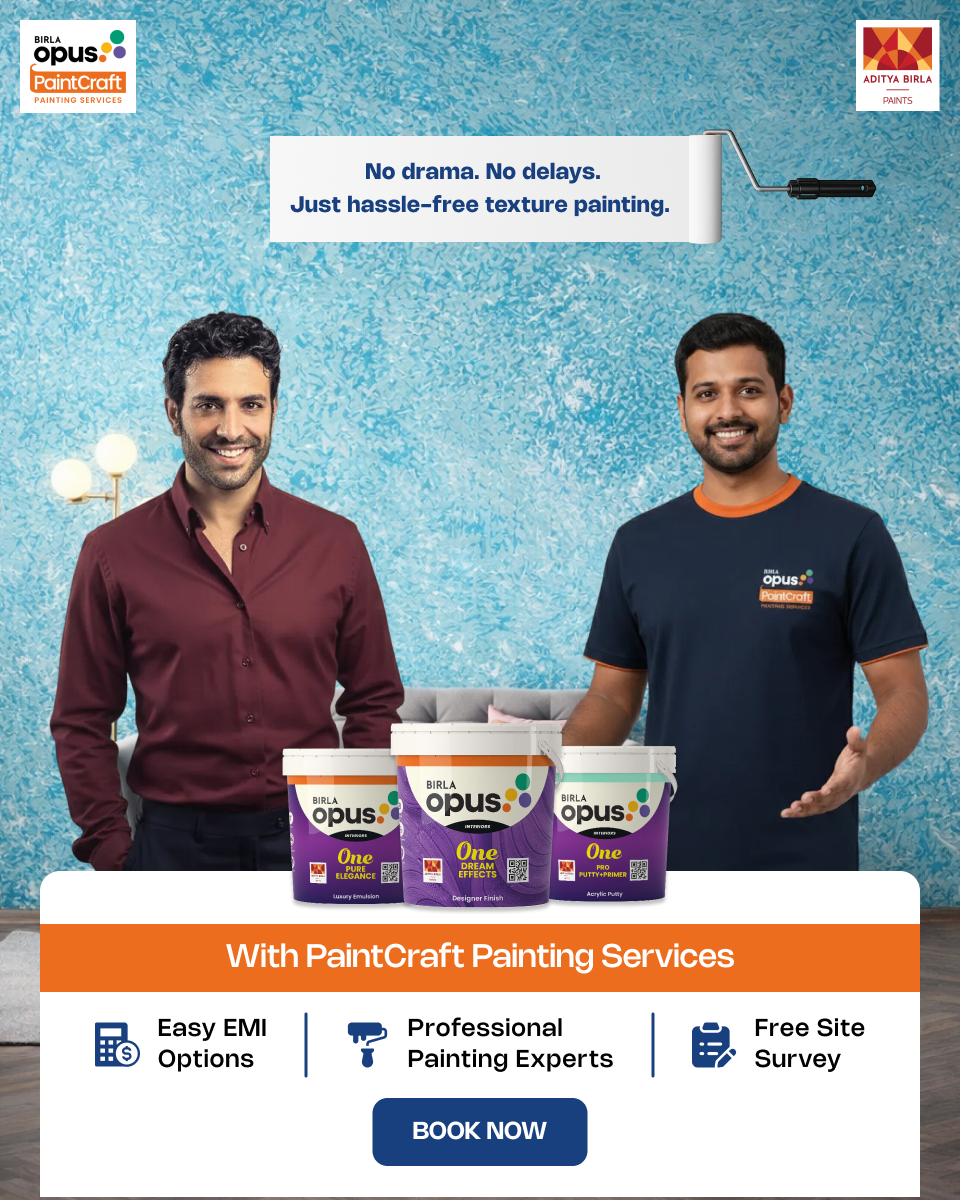 Birla Opus PaintCraft Facebook ad from Aug 18, 2026