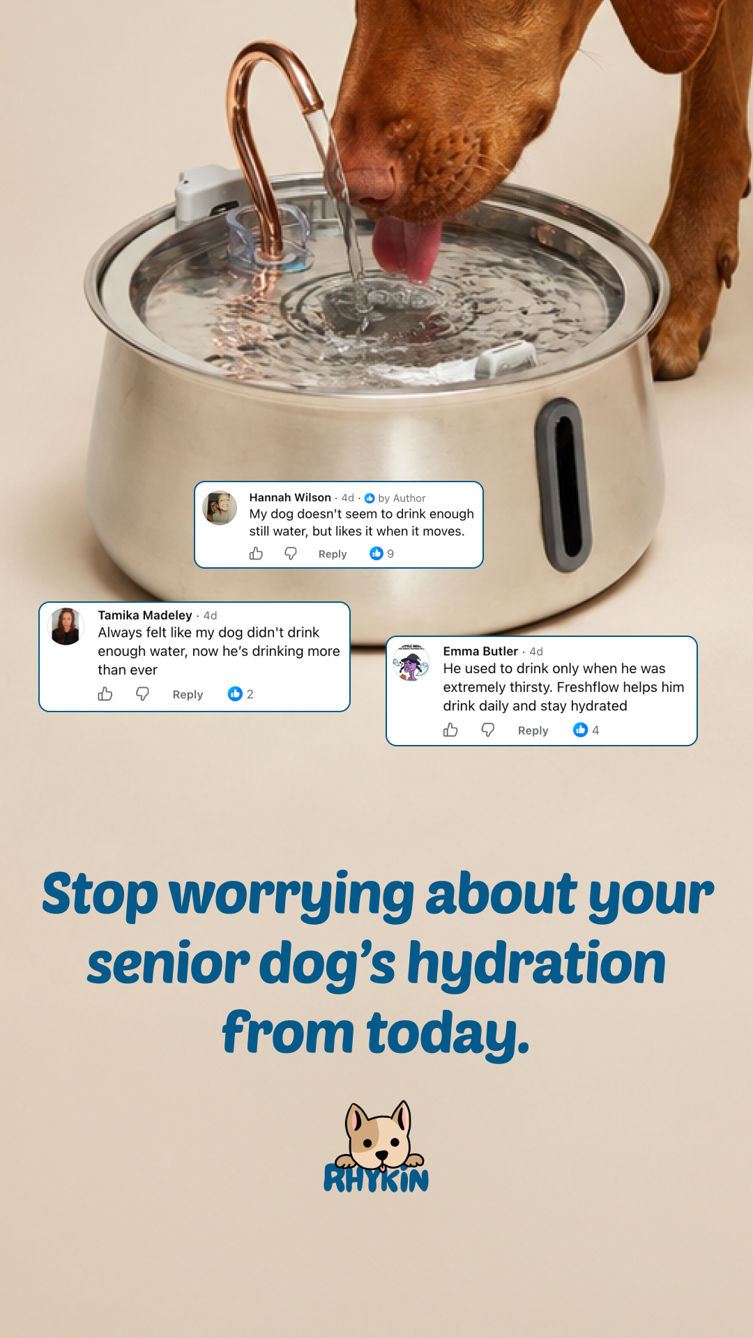 Rhykin Pet Co Facebook ad
