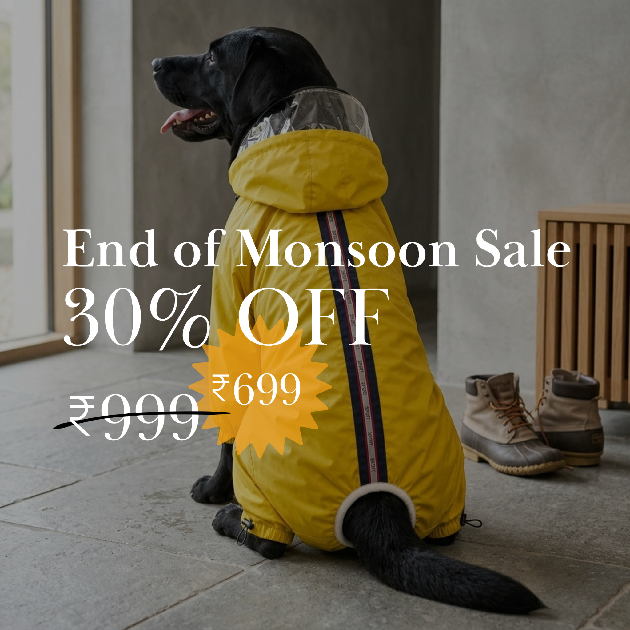Styles For Tuffy Facebook ad: Rain Can’t Stop Walkies, Now Just ₹699!