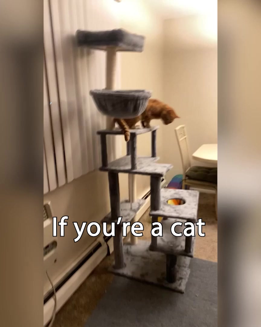 Katpole Cat Furniture Facebook ad: I Spent Years Searching for a Cat Tree That Didn’t Look…