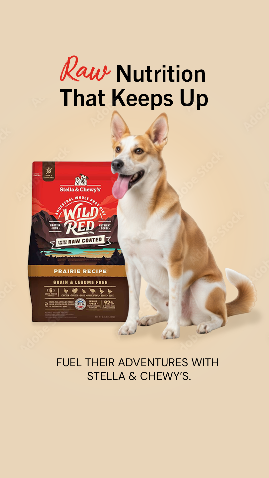 Stella & Chewy's Facebook ad