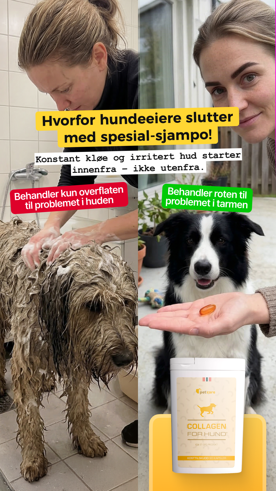 Collagen for hund Facebook ad: Prøv Collagen For Hund gratis!
