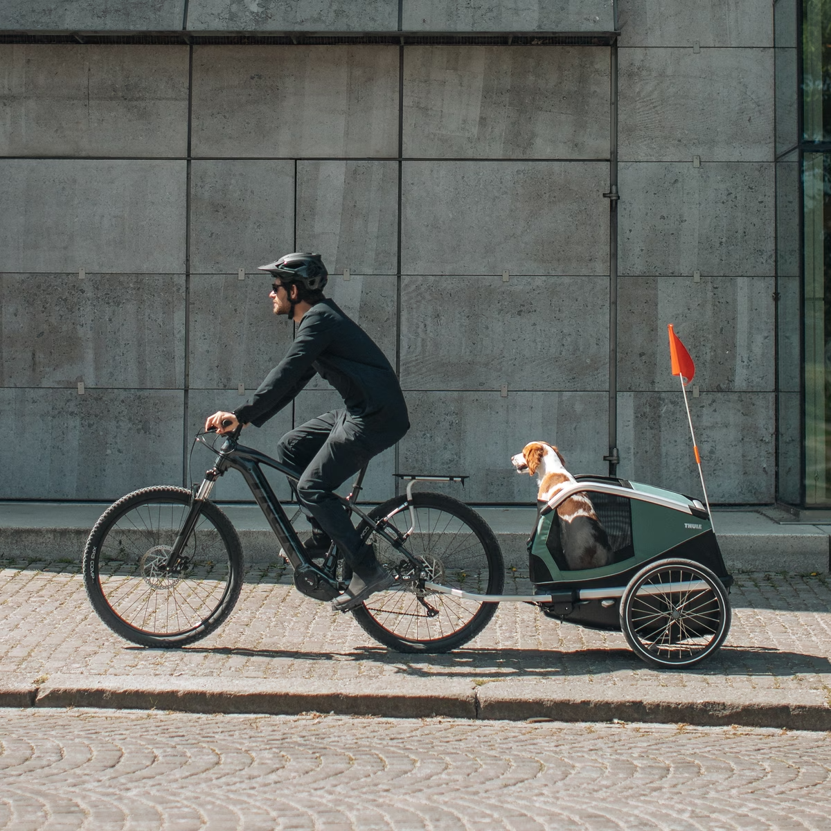 Thule Facebook ad