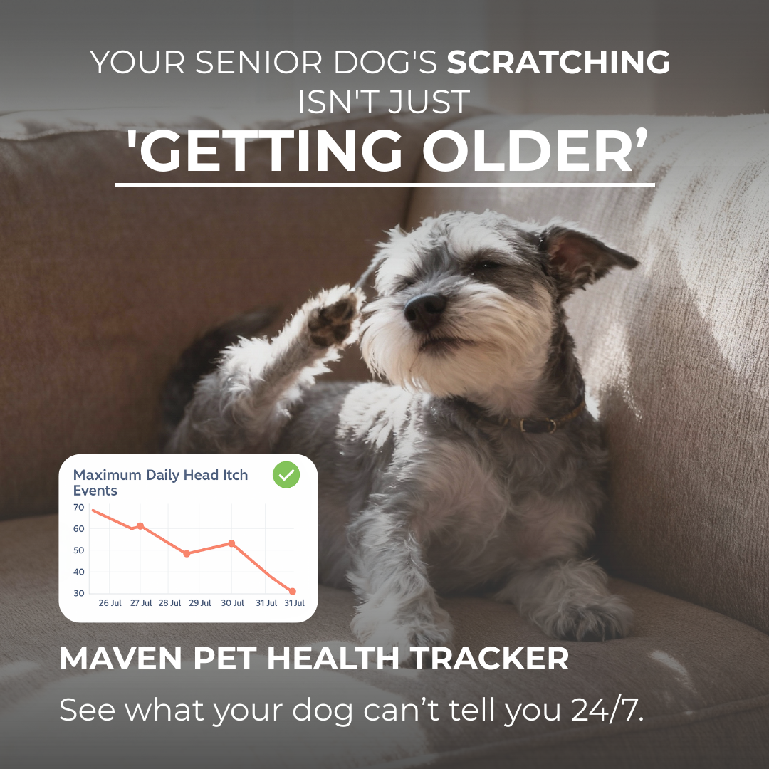 Maven Pet Facebook ad