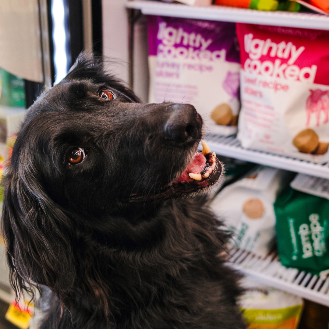 Pet Supplies Plus Facebook ad