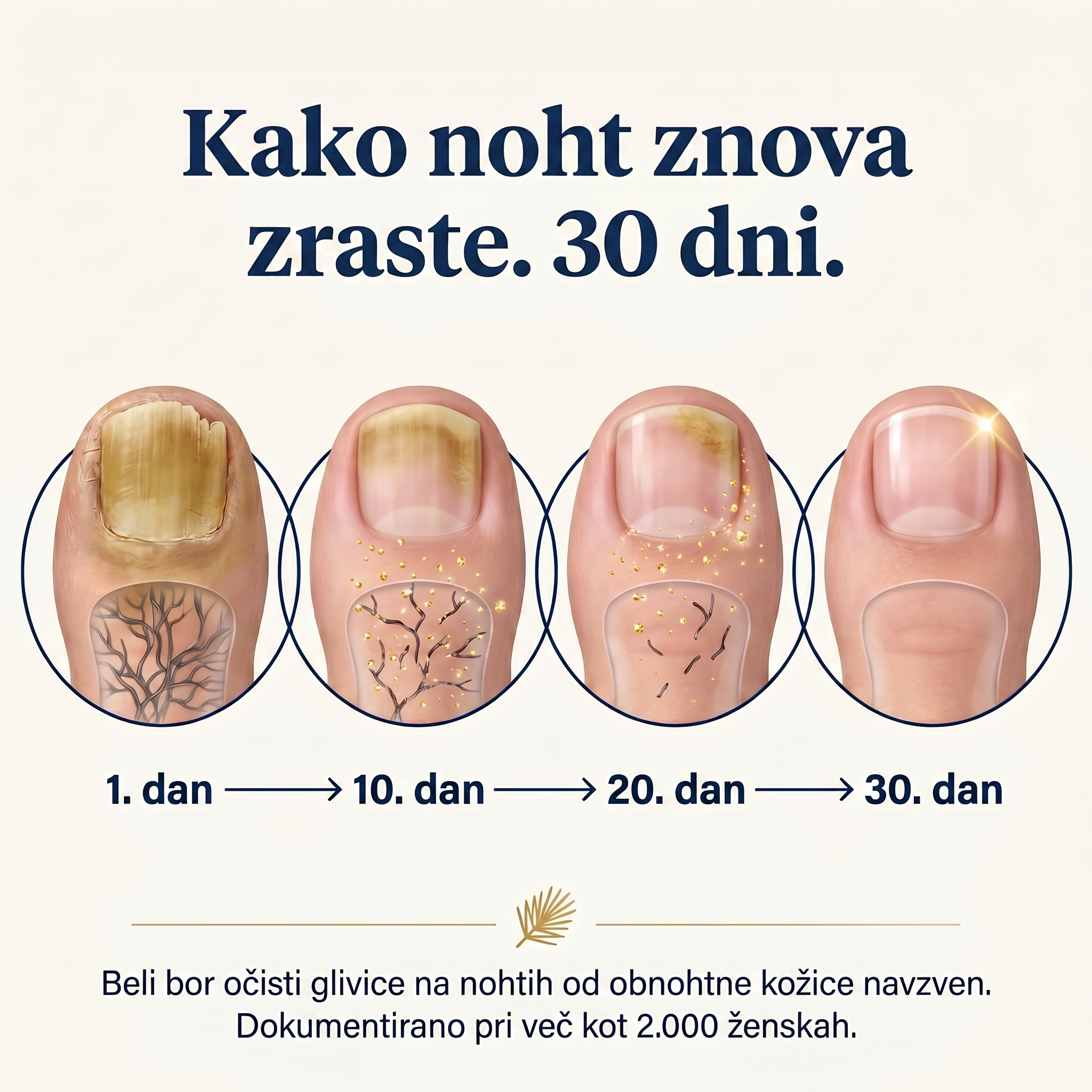 Organska Kozmetika - InaEssentials.si Facebook ad: Dan 1 do 30: opazuj spremembo.