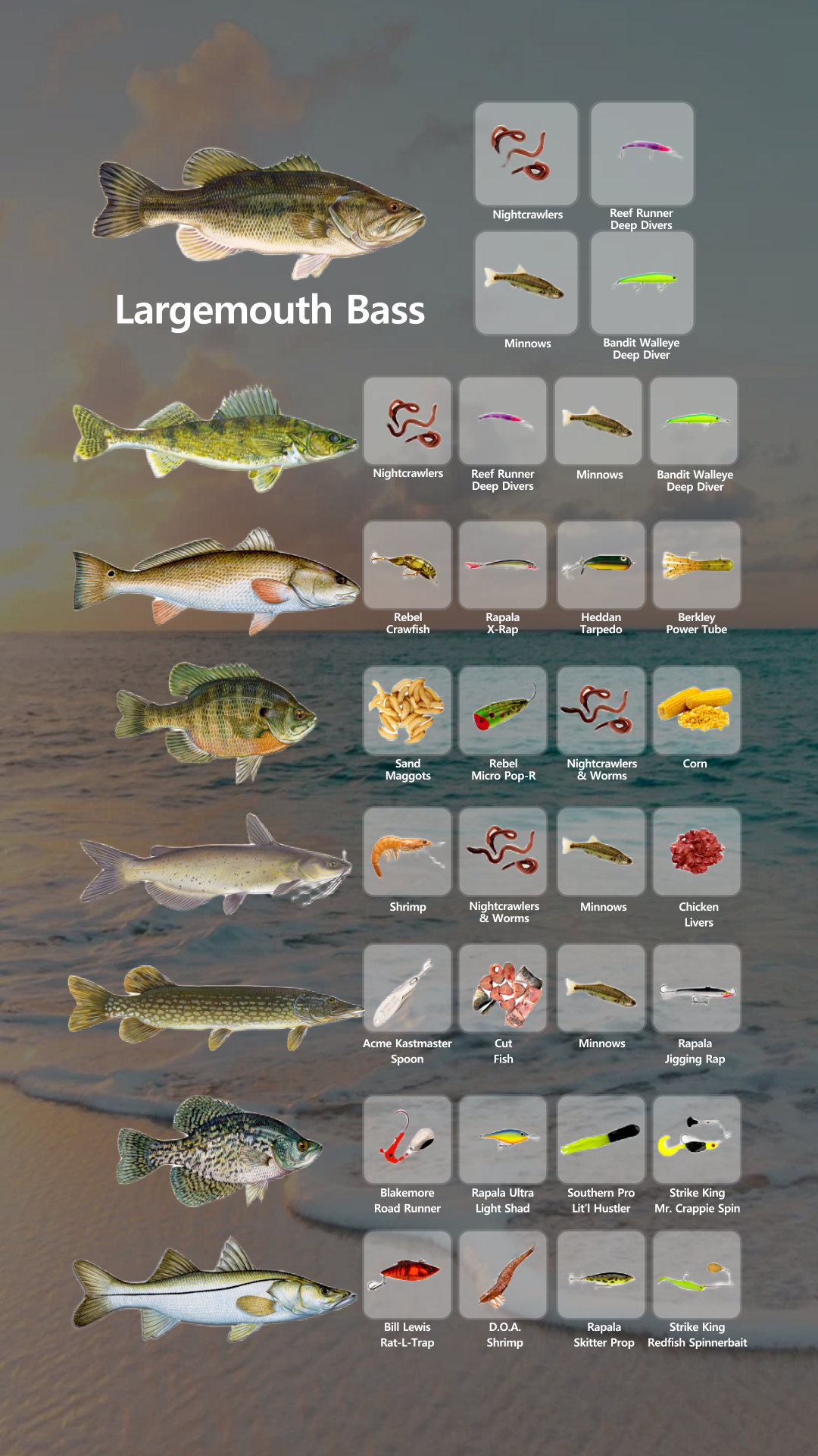 Fishbox App Facebook ad: 4.8 Rating
