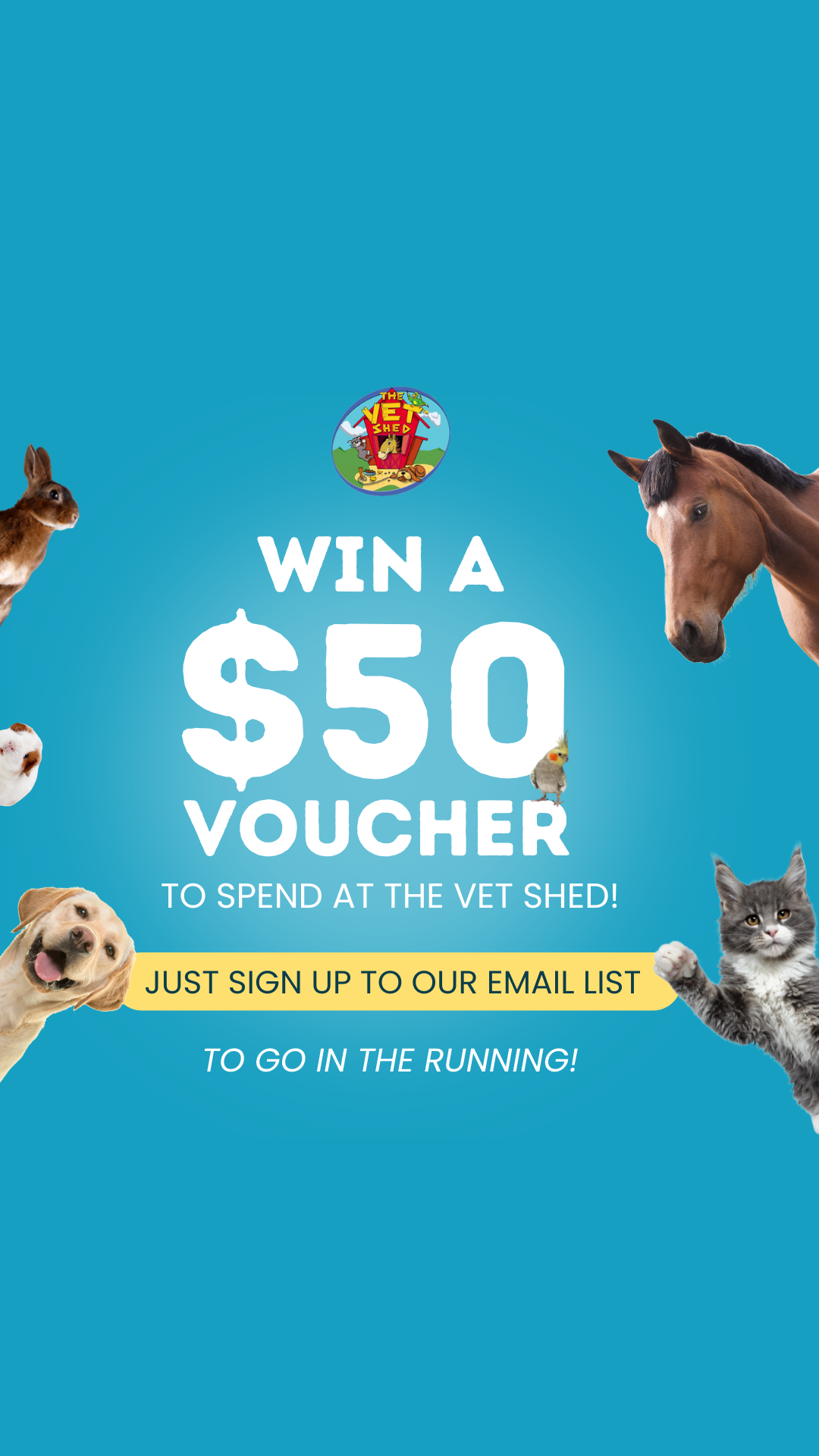 The Vet Shed - Online Pet Store Facebook ad