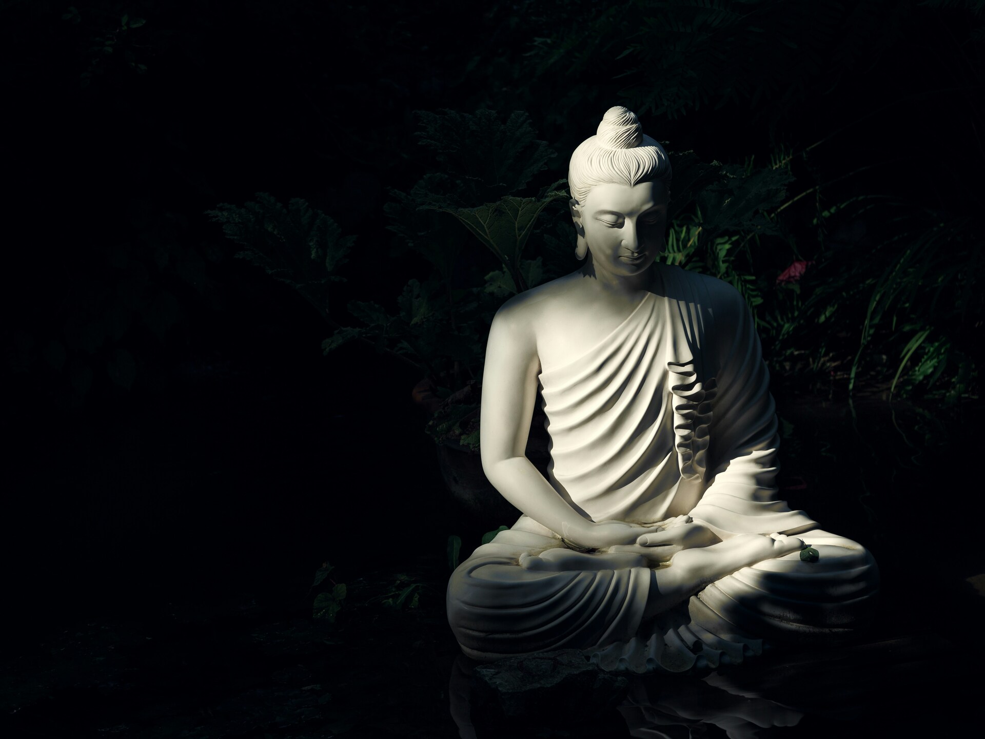Tricycle: The Buddhist Review Facebook ad
