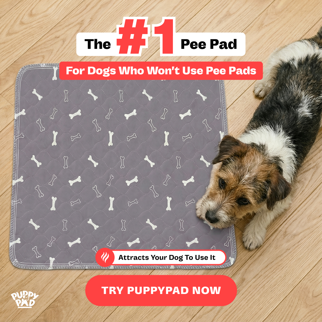 PuppyPad Facebook ad