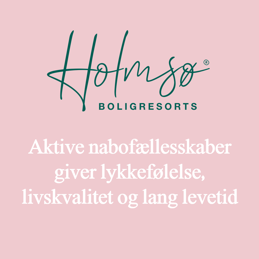 Holmsø Boligresorts Facebook ad