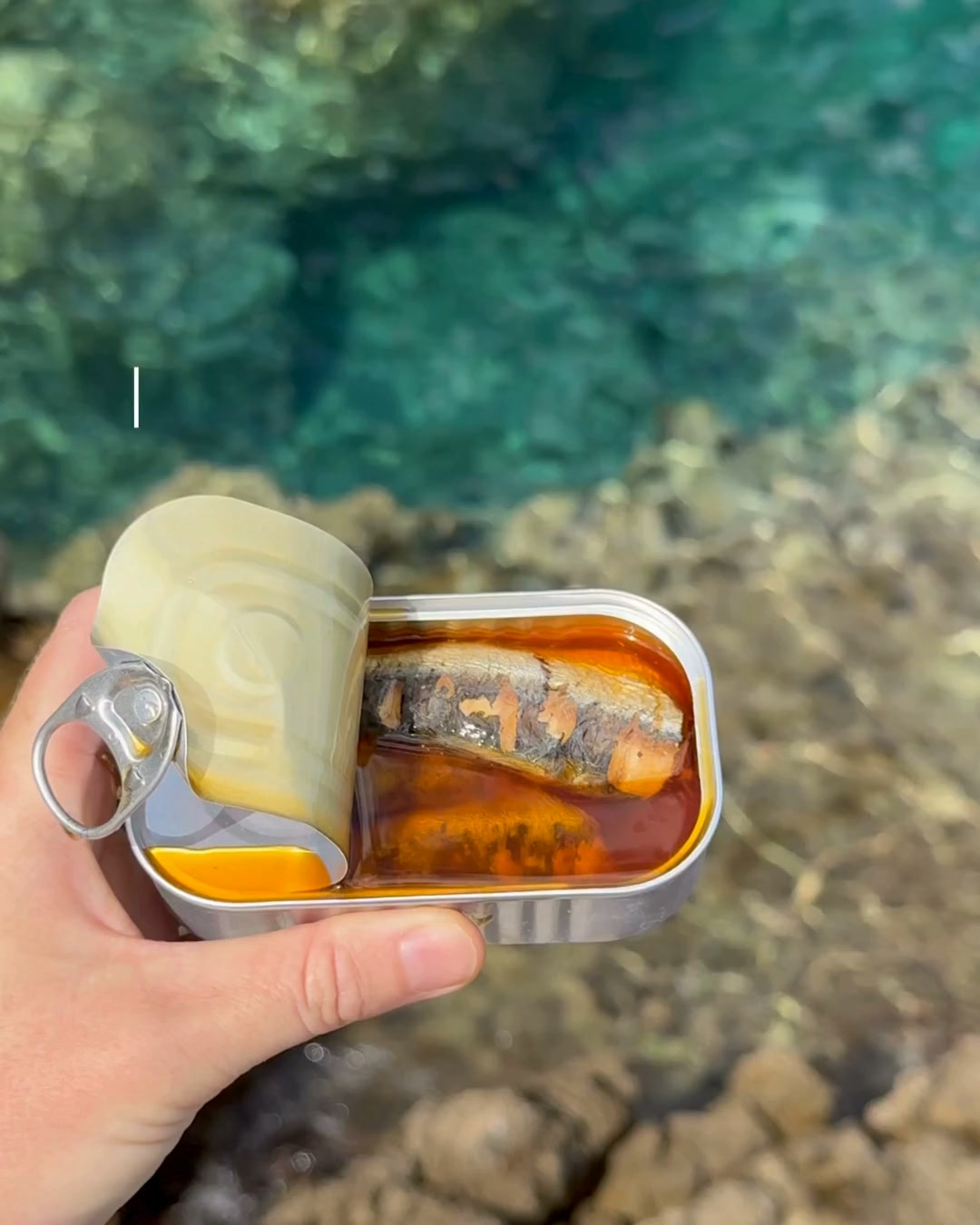The Stock Merchant Facebook ad: Not your average tin of fish.