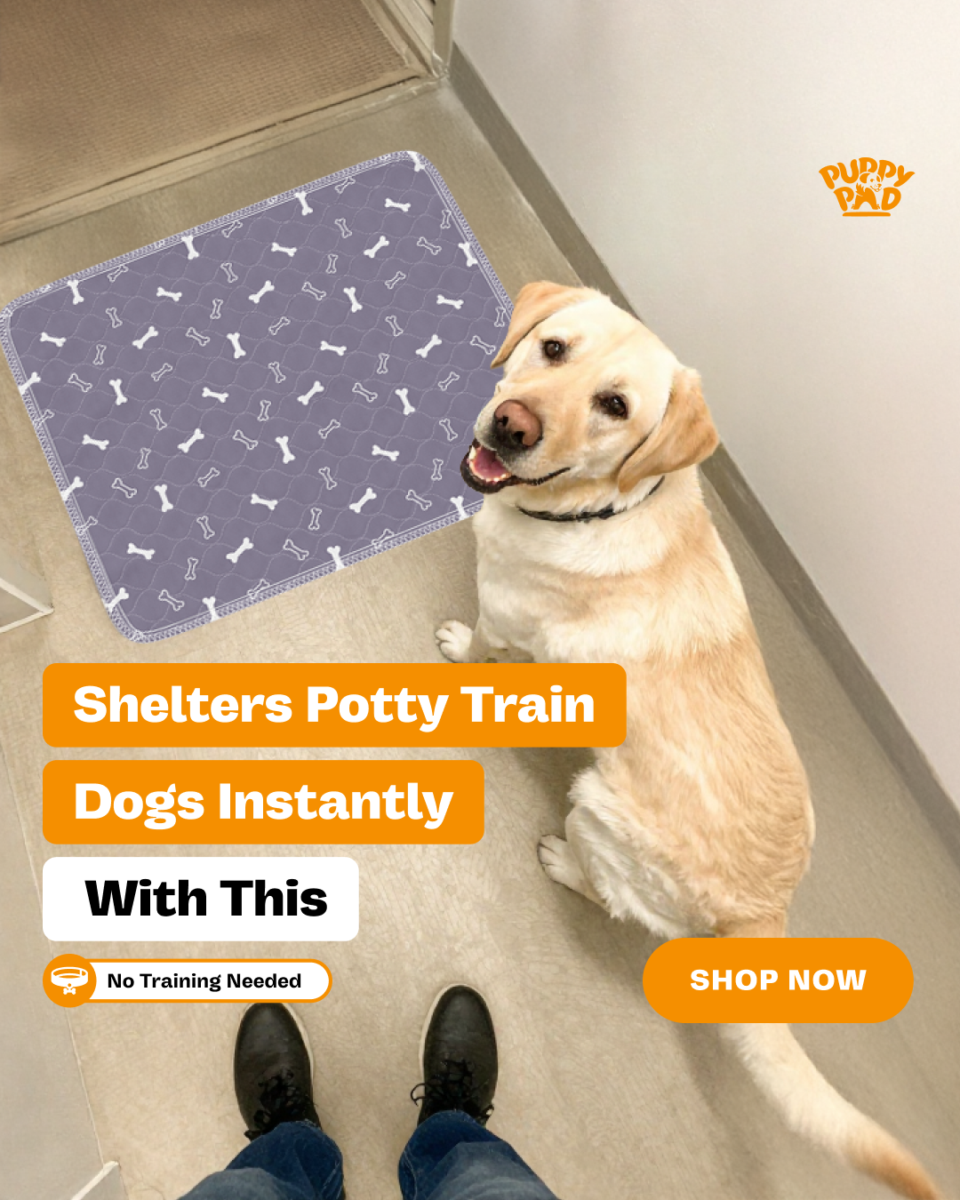 PuppyPad Facebook ad