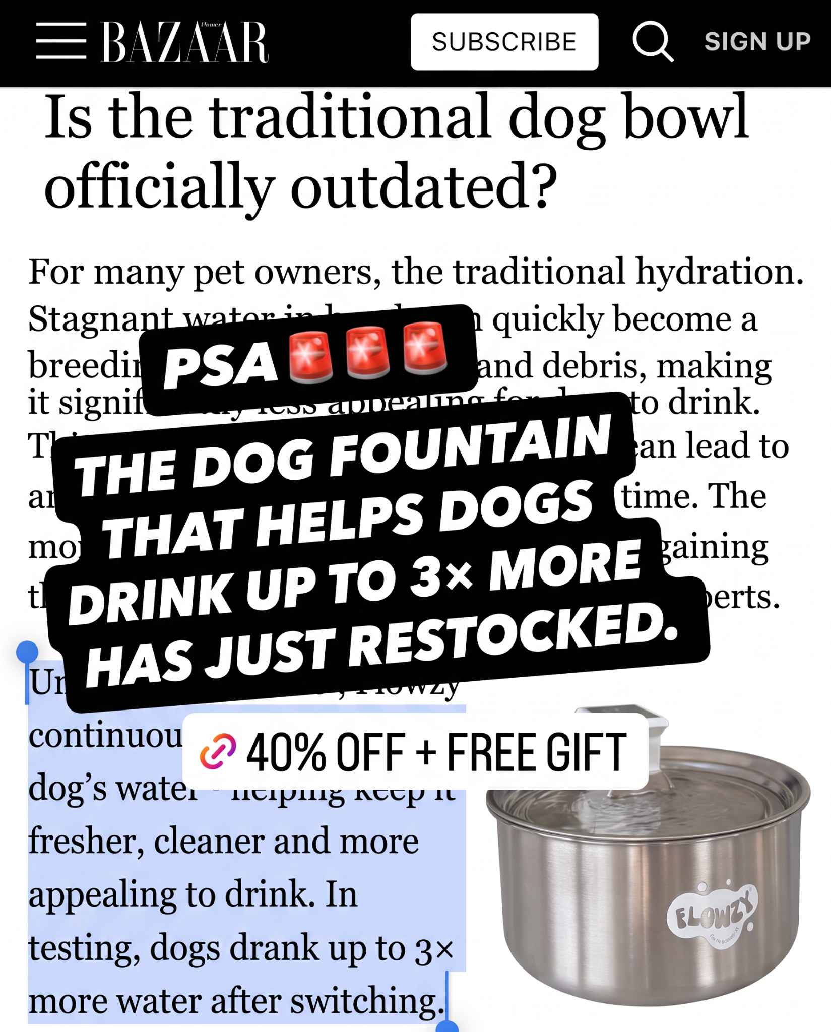 Dog Health Australia Facebook ad