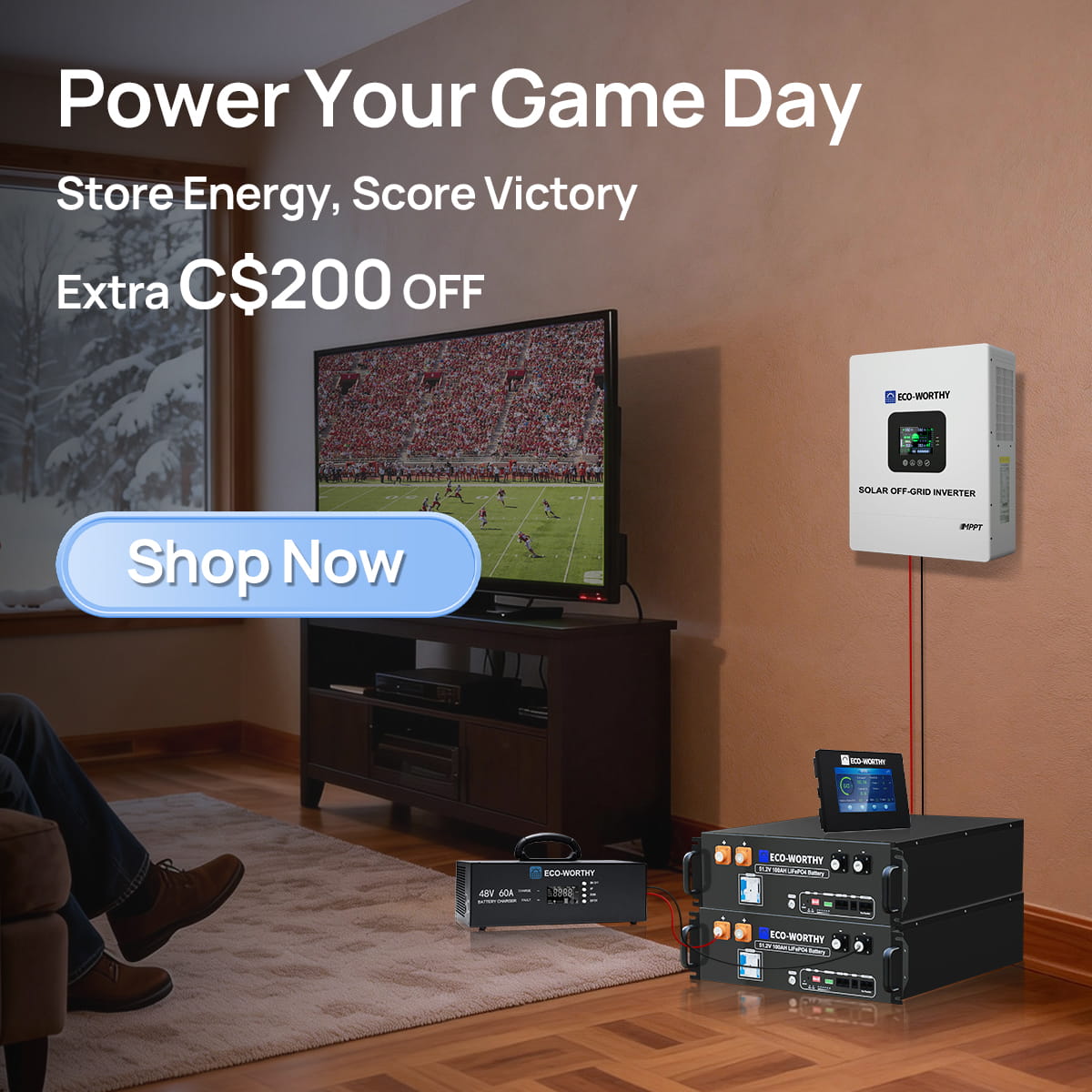 Eco-Worthy Facebook ad