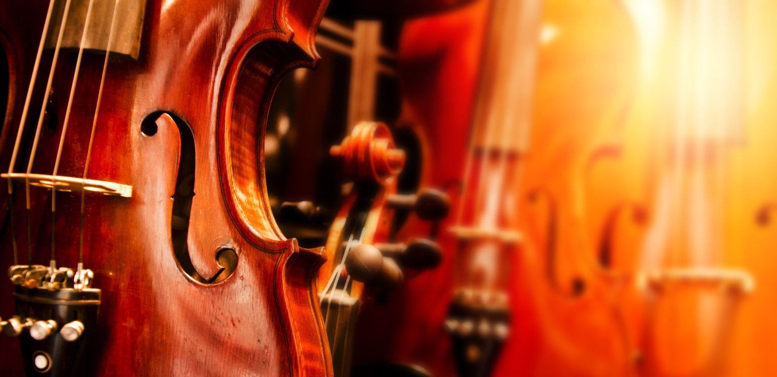 Lutheria Internacional San Agustín Facebook ad: Venta y reparación de instrumentos musicales de cuerda.