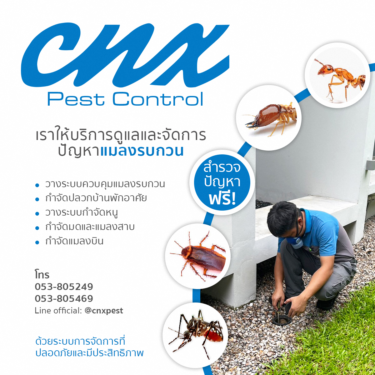 CNXกำจัดปลวกเชียงใหม่ CNX Pest Control Facebook ad: บริการดูแลและจัดการปัญหาแมลงรบกวน! โดยทีมงานมืออาชีพ…