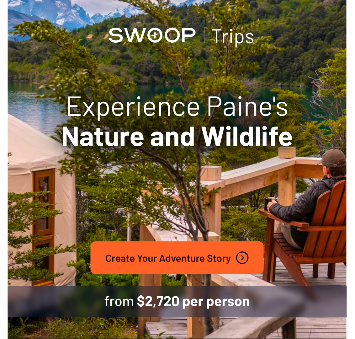 Swoop Patagonia Facebook ad: Your Patagonian Wildlife Adventure