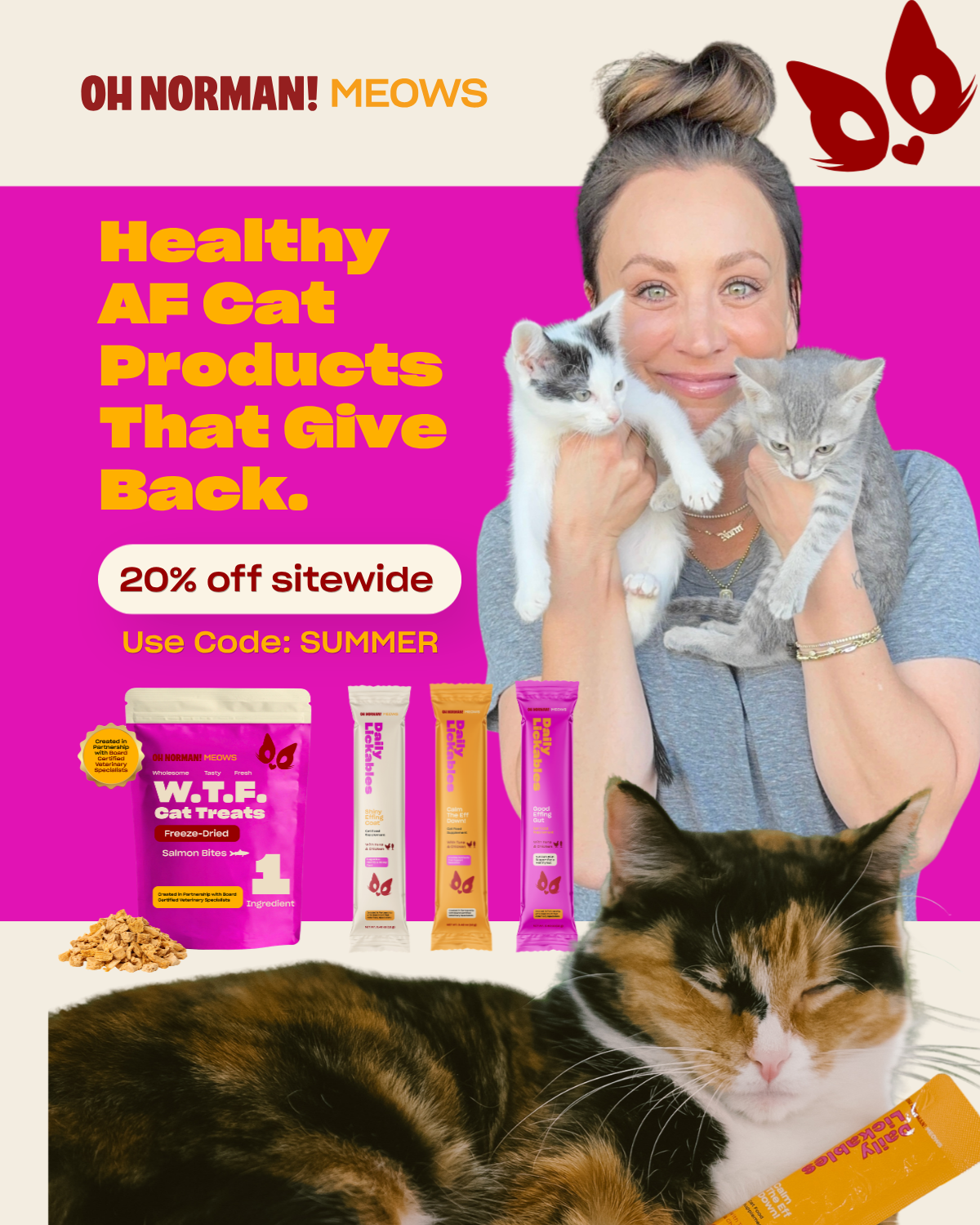 Ohnorman Facebook ad: NEW! Oh Norman! Meows