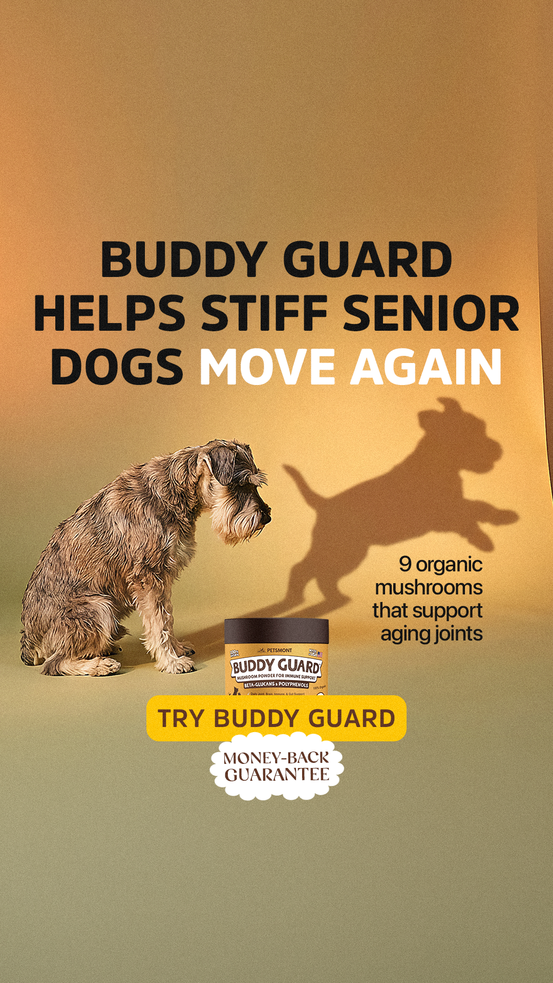 Well Pup Life Facebook ad