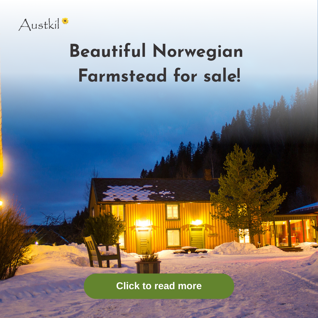 Austkil Facebook ad: Own a 260-Hectare Tourism Business in Norway (With Fishing…