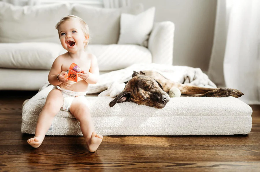 Bluewater Dog Facebook ad