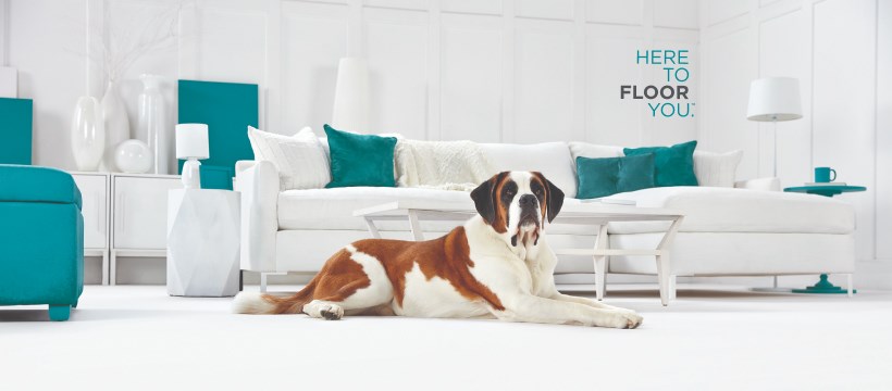 Carpet One Floor & Home, Jacksonville Facebook ad