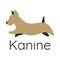 Kanine