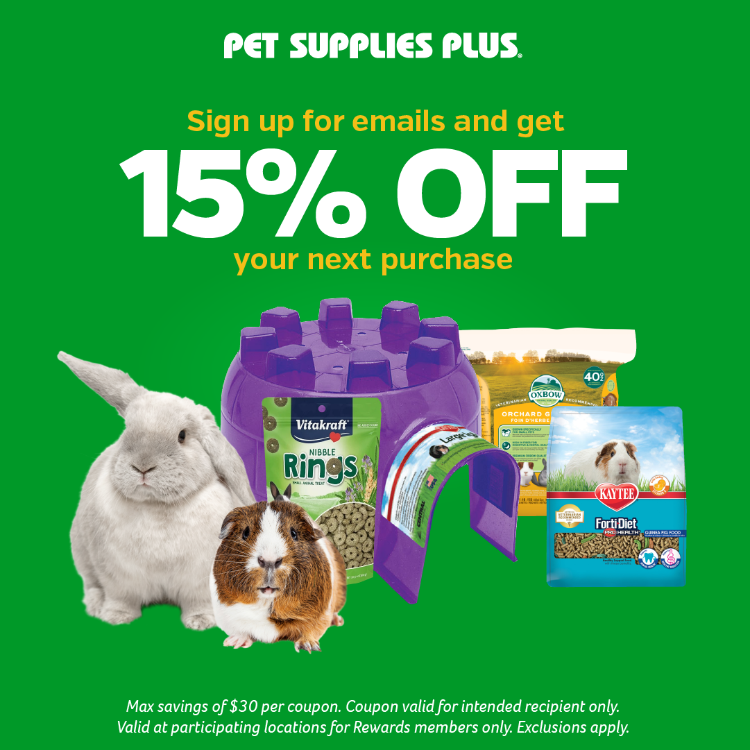Pet Supplies Plus Facebook ad