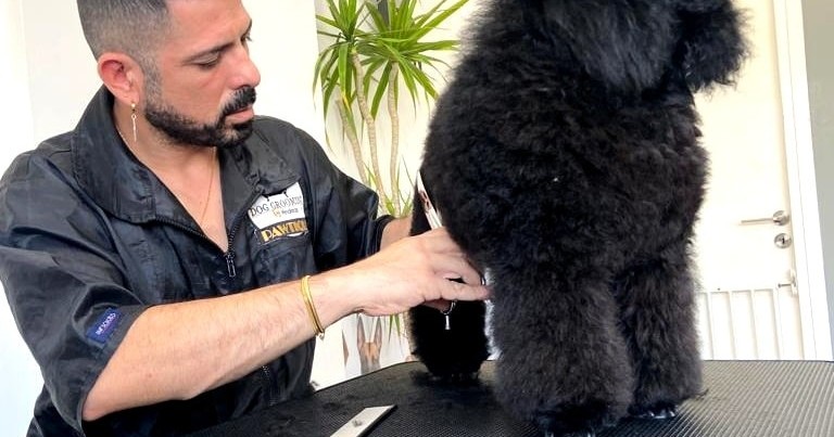 Dog Grooming by Andreas Salon & Academy Facebook ad